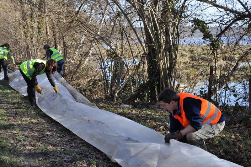 2013 02 25 Montage du crapaudrome 25